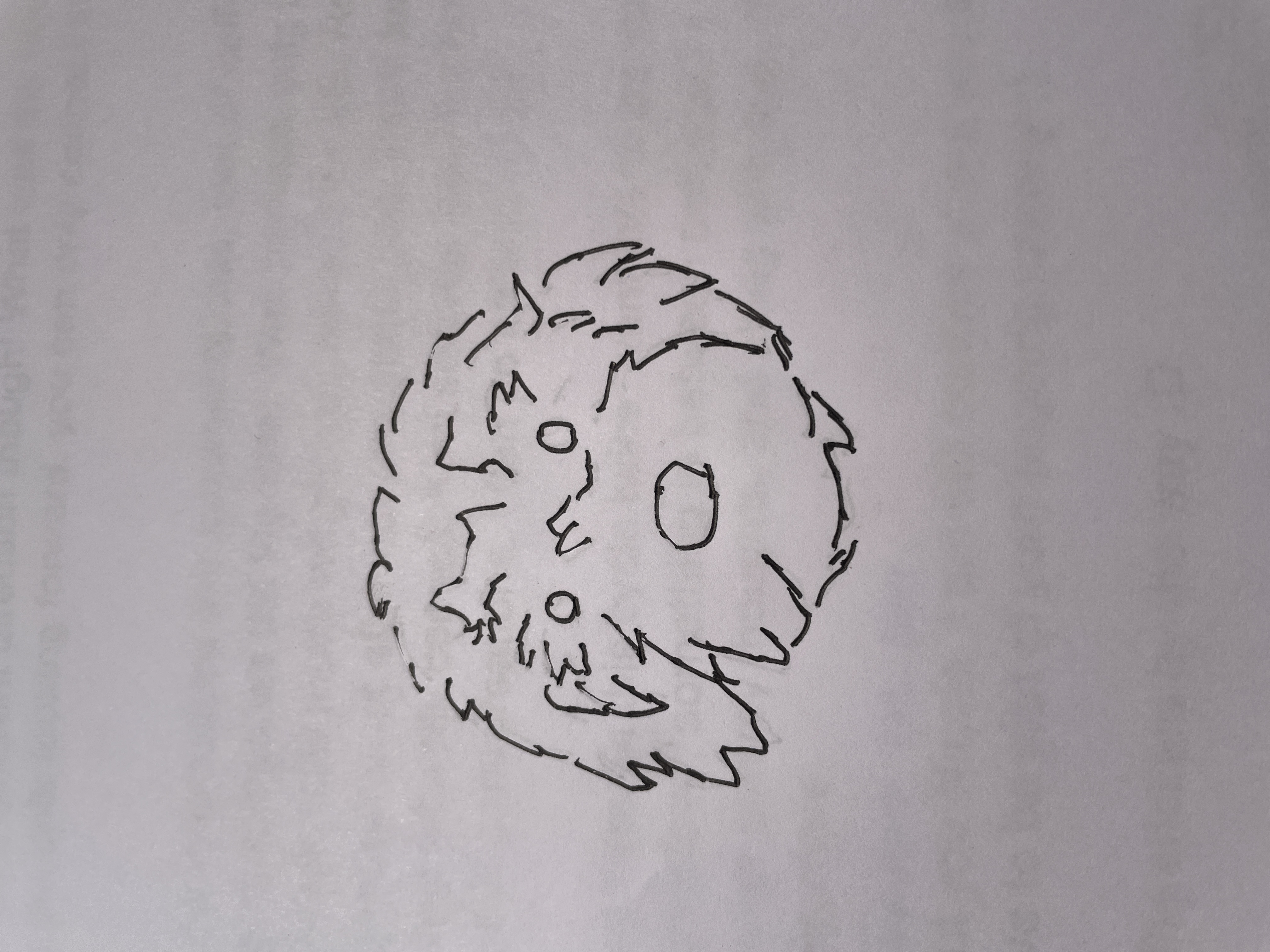 Placeholder, doodle for a friend’s goldendoodle