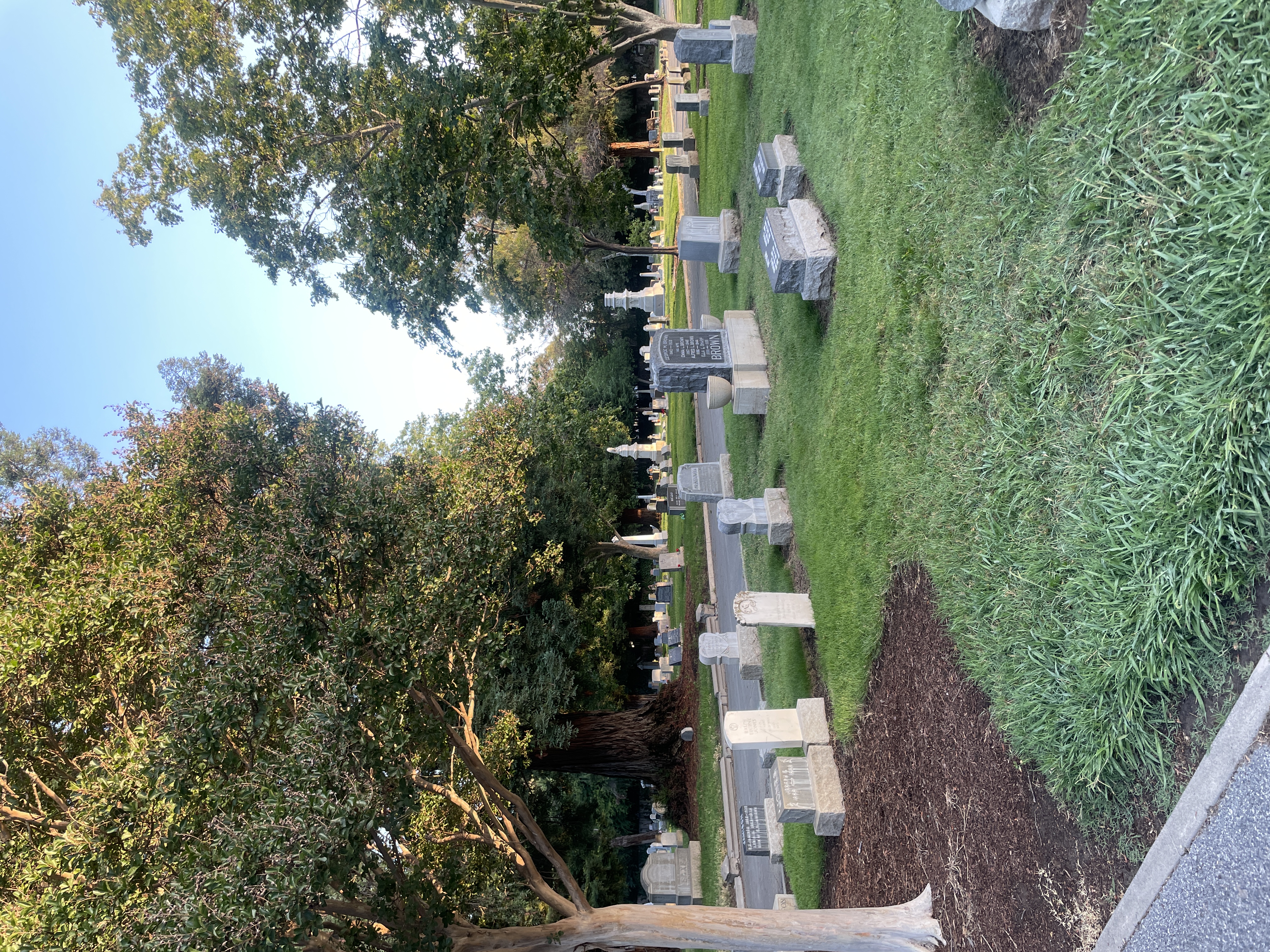 morning at cemetery, not many folks are there as expected, very nice and quiet